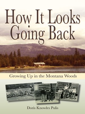 cover image of How It Looks Going Back